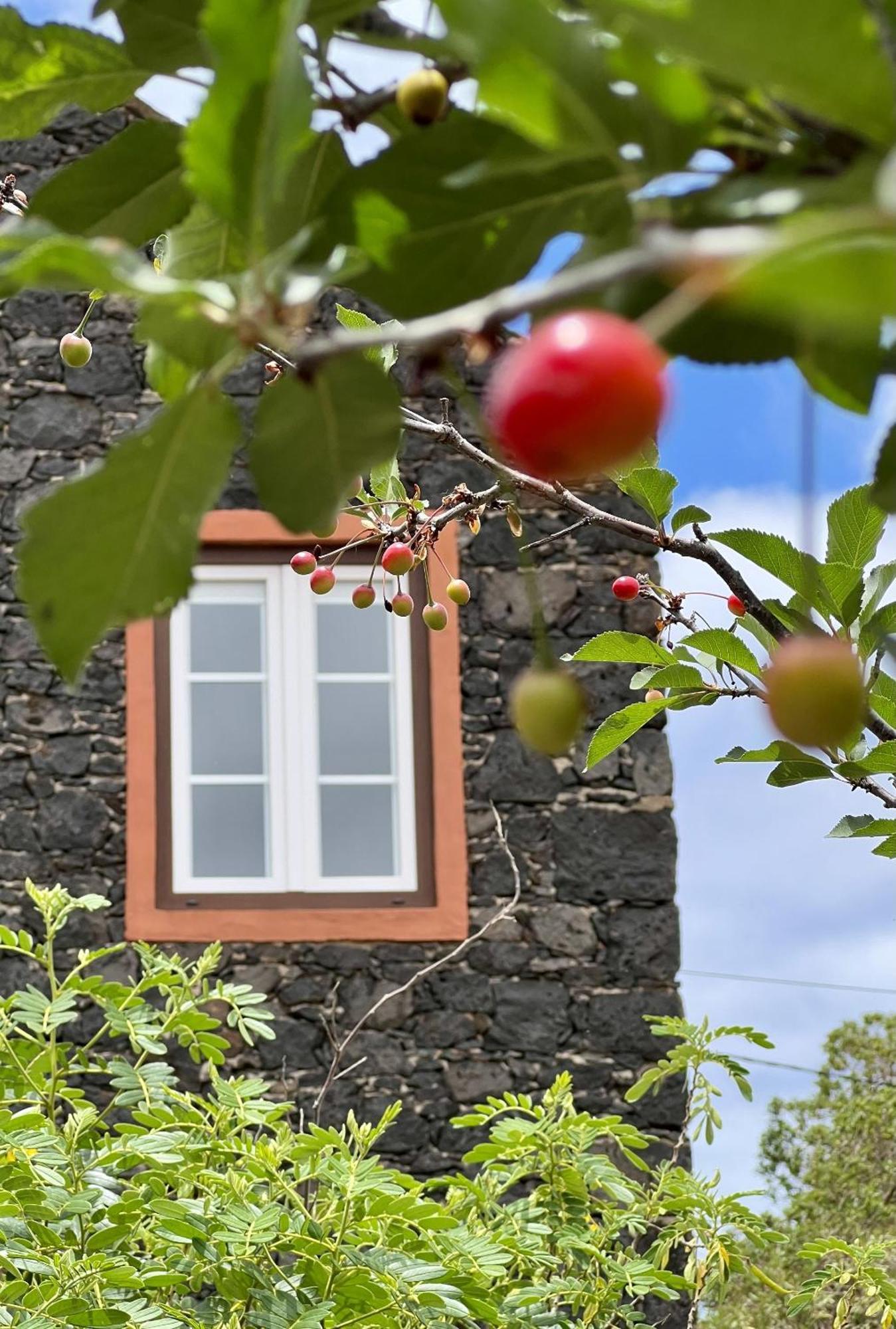 Cozy Rural House Las Guindas, El Hierro Erese Dış mekan fotoğraf