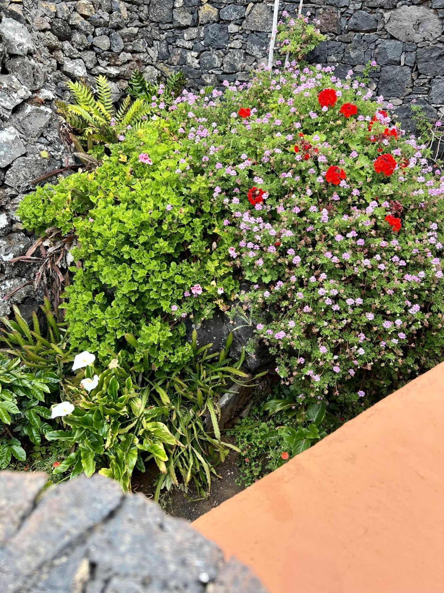 Cozy Rural House Las Guindas, El Hierro Erese Dış mekan fotoğraf